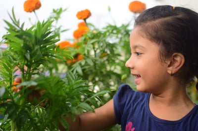 dark haired child smiling while looking at flower