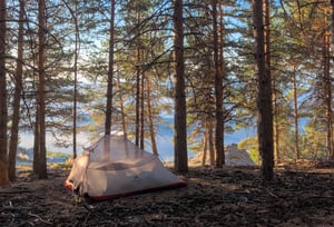 white tent in woods camping