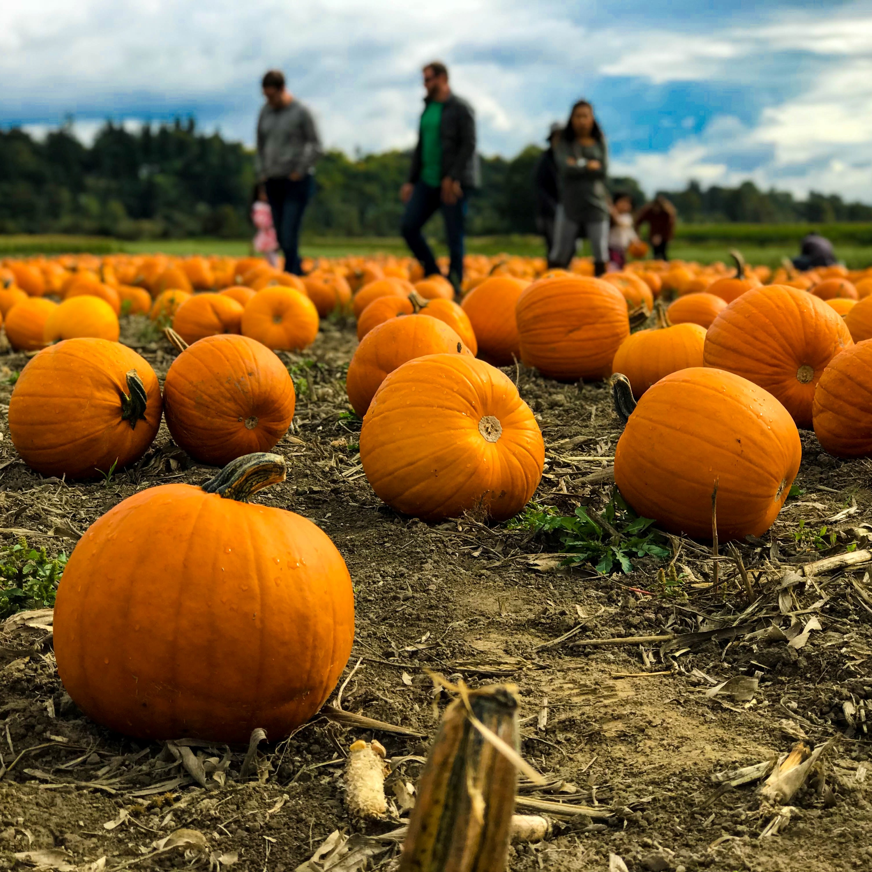 Fall Events in Your Neck of the Woods