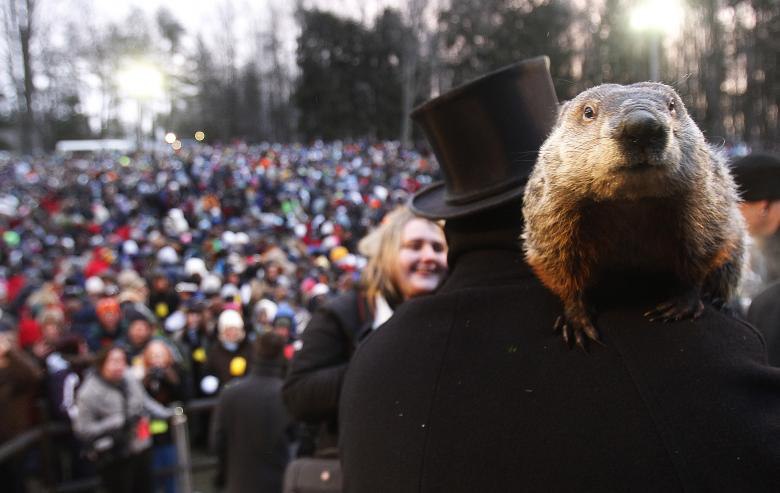 Groundhog Day Explored: Shadows, Science, and Superstitions