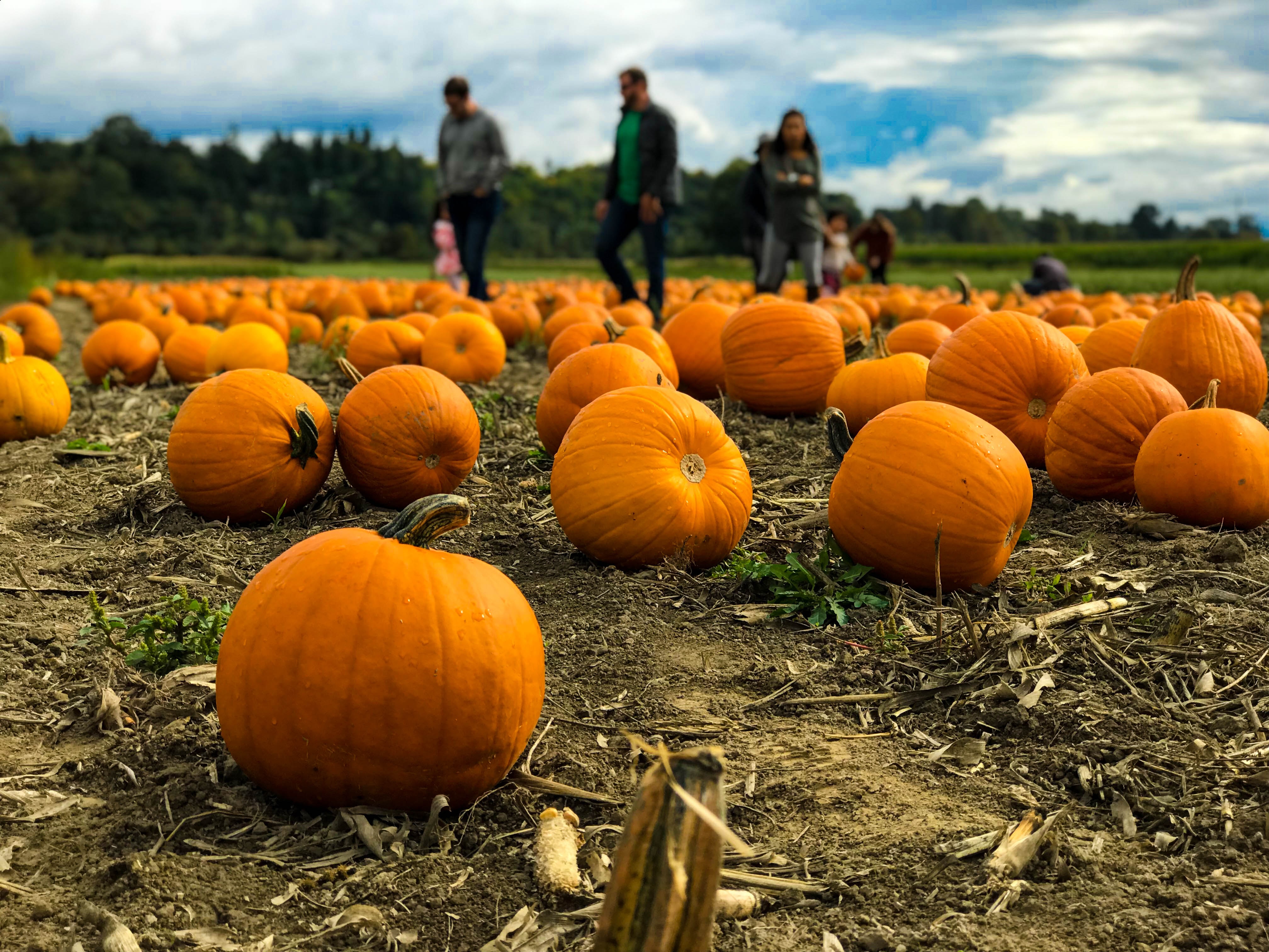 10 Family-Friendly Fall Activities in Pennsylvania