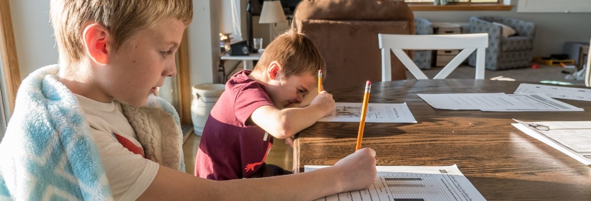 How to Choose Between Cyber Schooling and Homeschooling