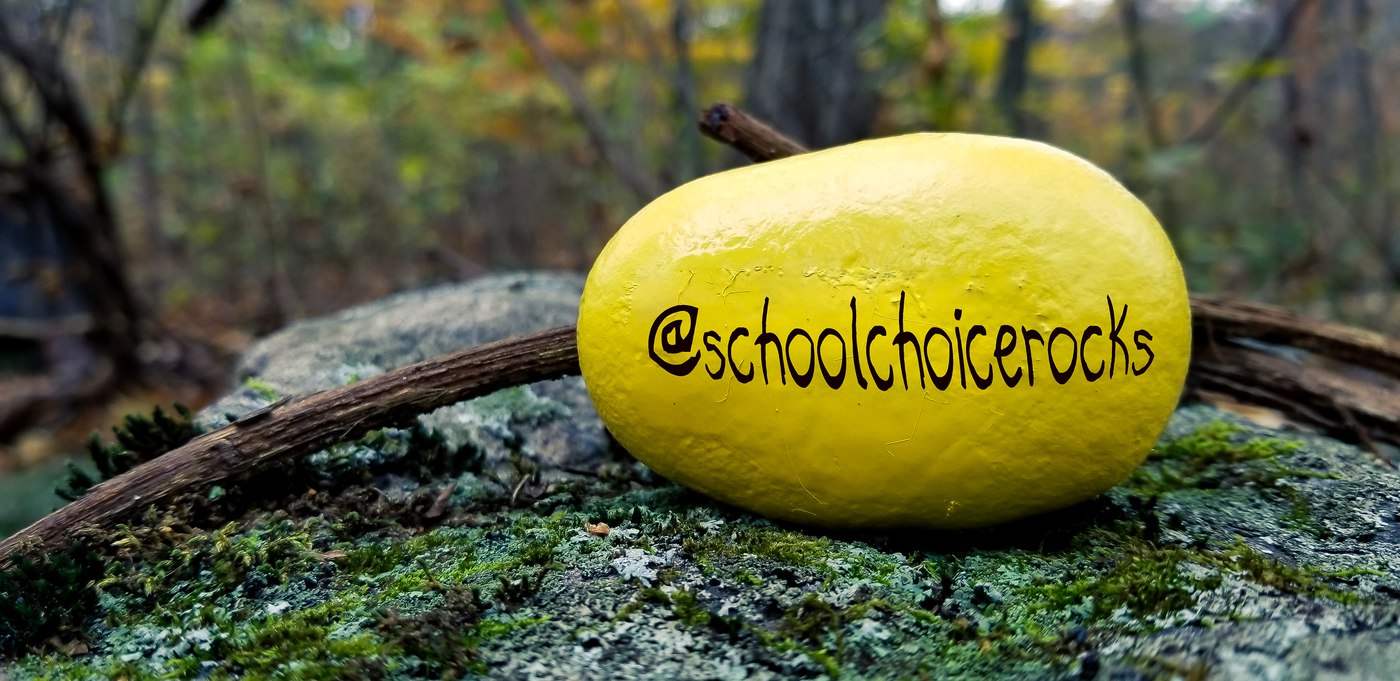 PA Virtual School Choice Campaign Goes National