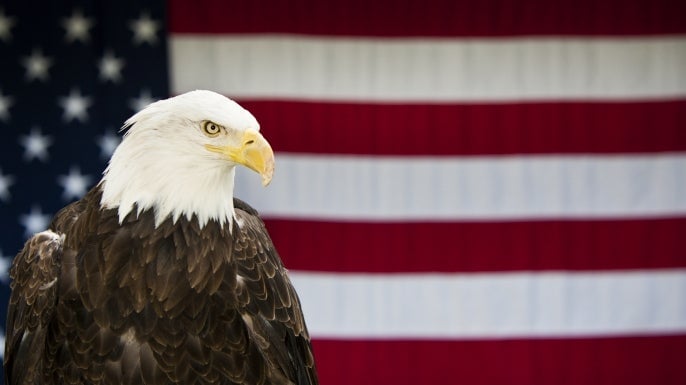 How the Bald Eagle Became the Symbol of America